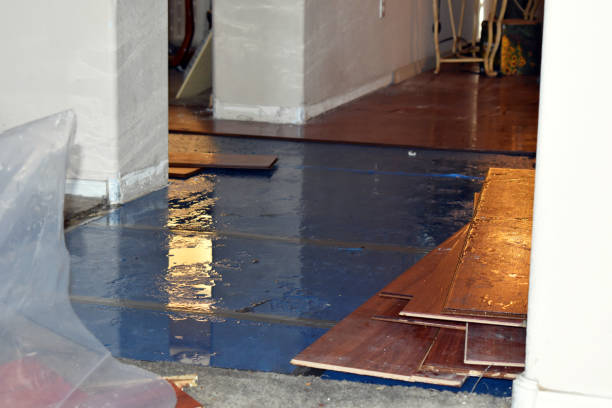 Professional Structural Drying technician working in Coupland, TX